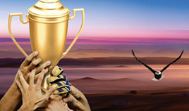 星空体育app(图1)