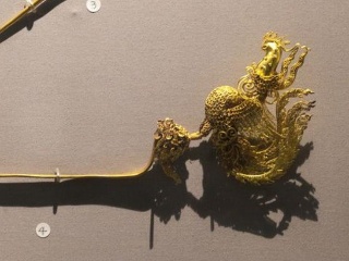 星空体育app部门